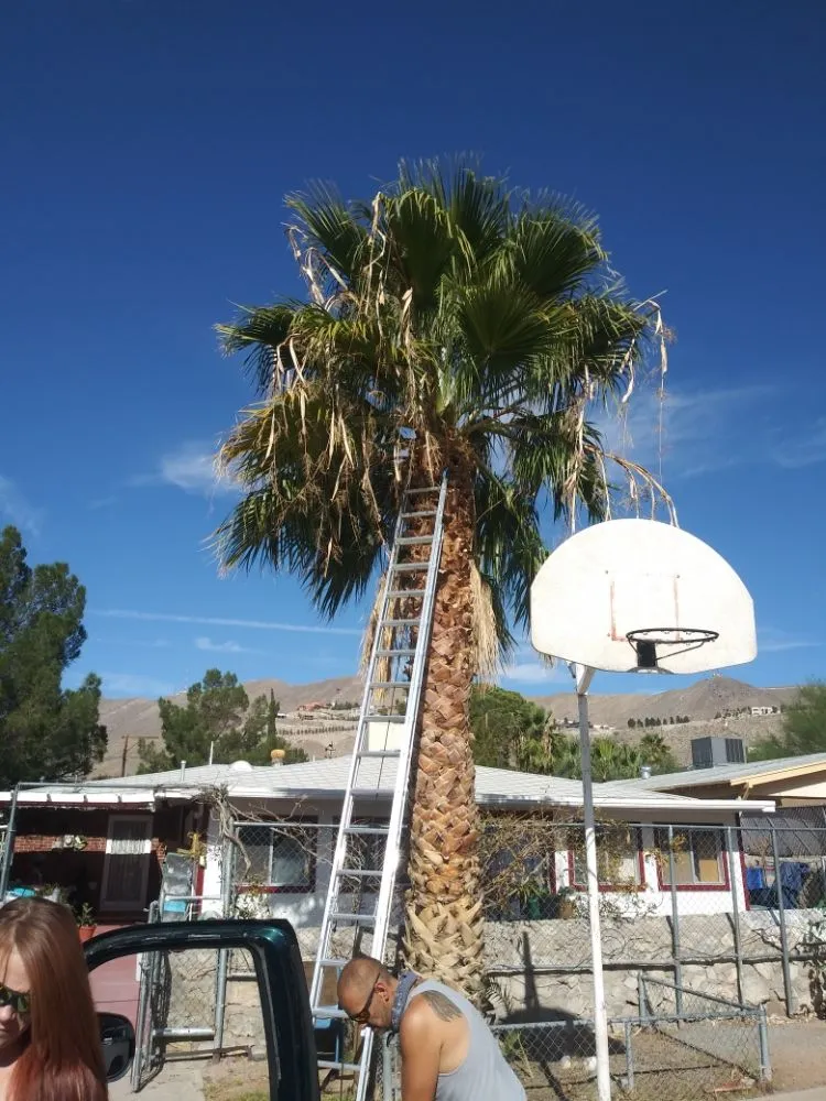 Professional residential landscaping for year-round maintenance in El Paso, TX by Benjamin's Yard And Landscaping