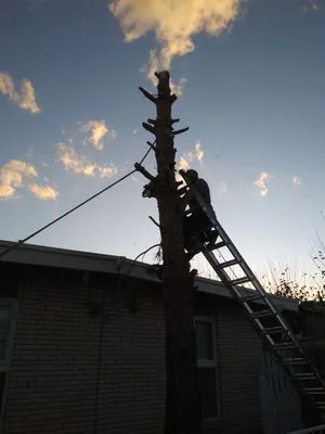 Benjamin's Yard And Landscaping Logo