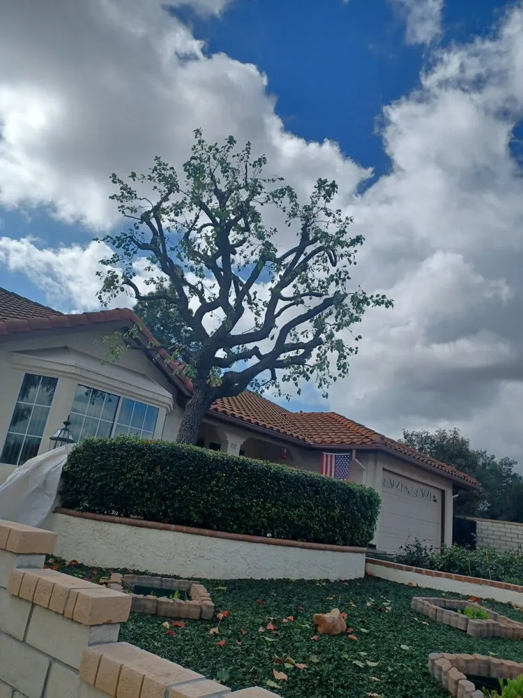 Top-rated outdoor landscaping near you in Moorpark, CA by Benjis trees &thing's