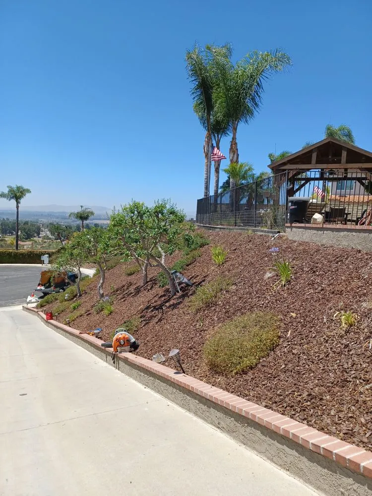 Affordable landscape installation in Moorpark, CA - Benjis trees &thing's
