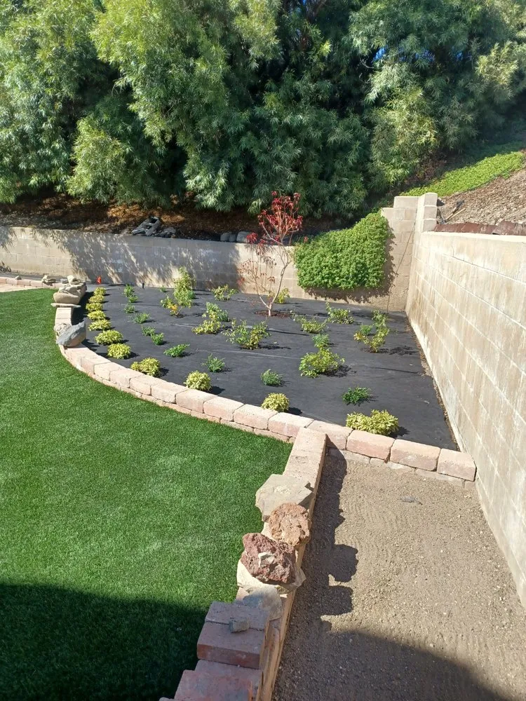 Professional garden landscaping in Moorpark, CA - Benjis trees &thing's
