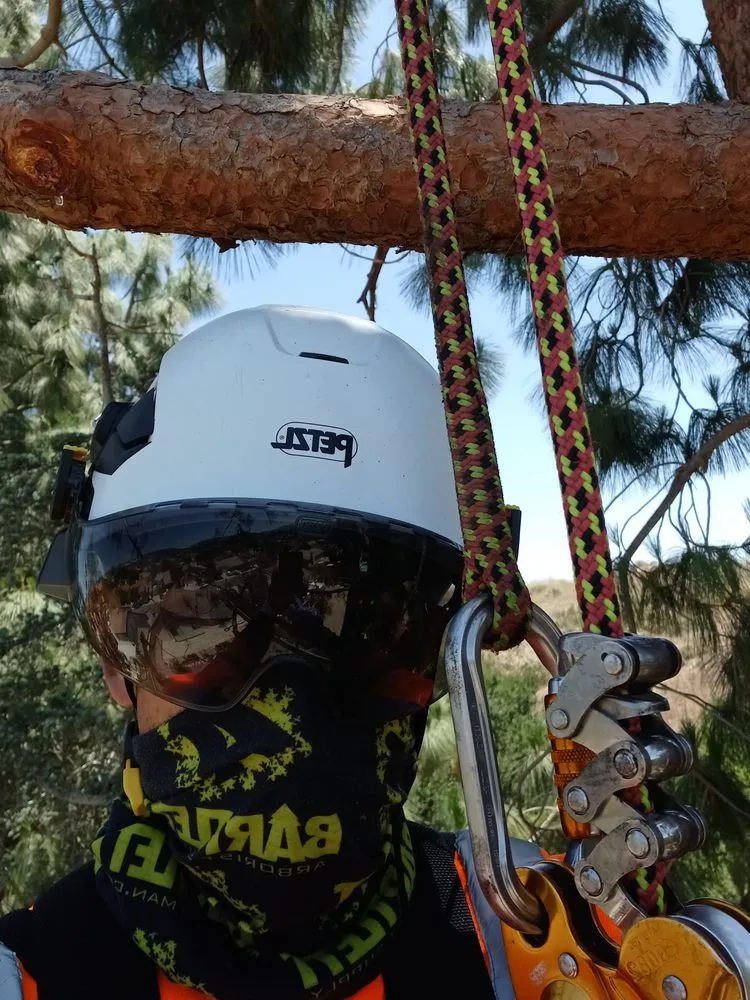 Professional lawn care service for residential properties across Moorpark, CA - Benjis trees &thing's