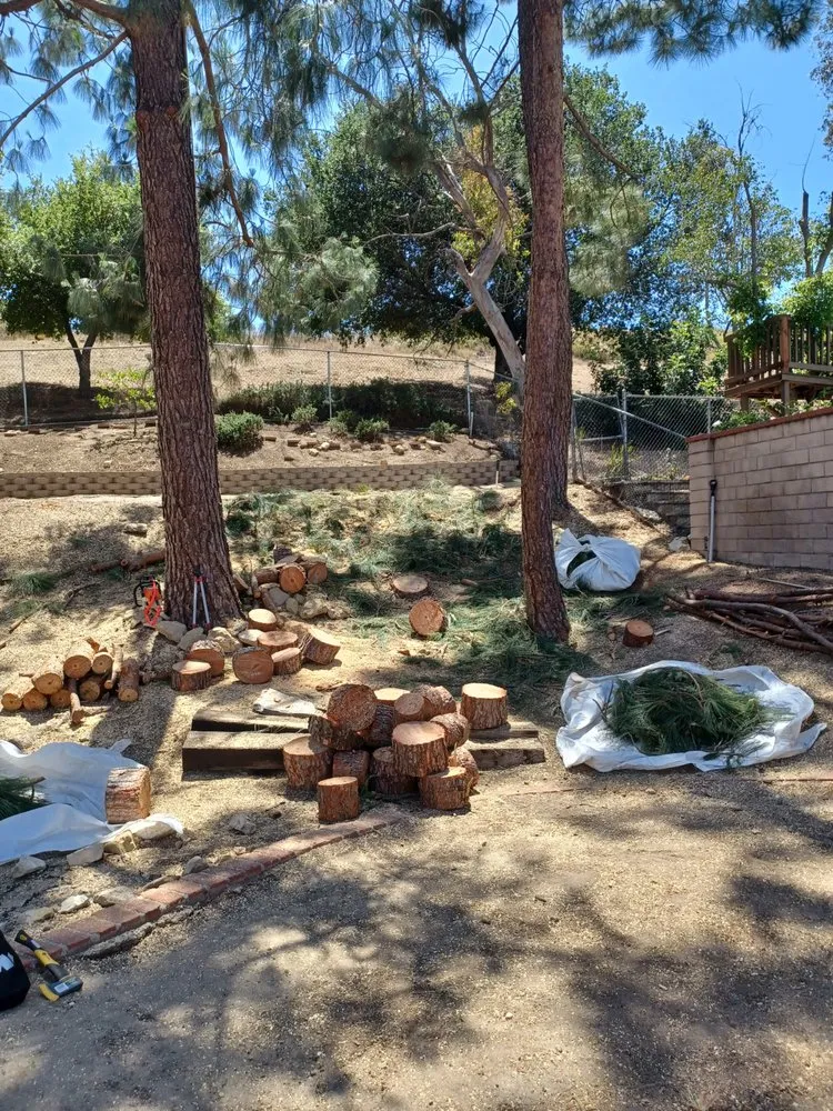 Trusted landscape installation in Moorpark, CA by Benjis trees &thing's