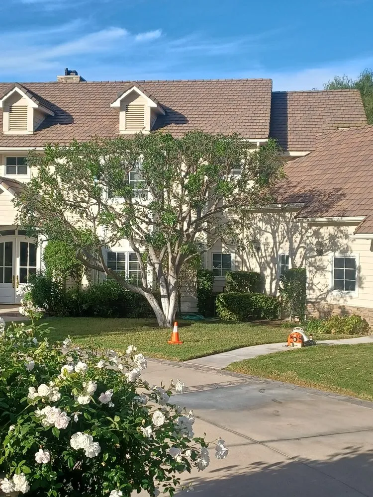 Custom garden landscaping for homes in Moorpark, CA by Benjis trees &thing's