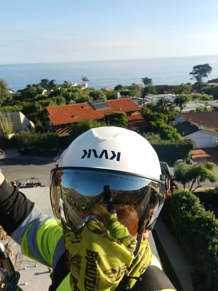 Trusted lawn care service experts serving Moorpark, CA - Benjis trees &thing's