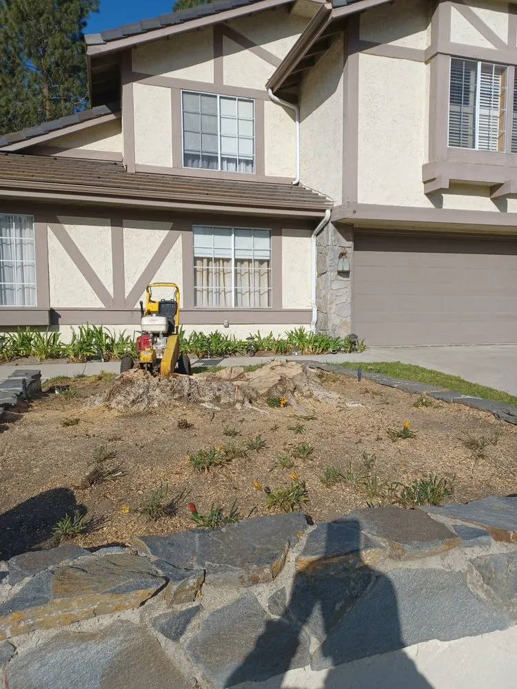 Custom landscape installation in Moorpark, CA by Benjis trees &thing's