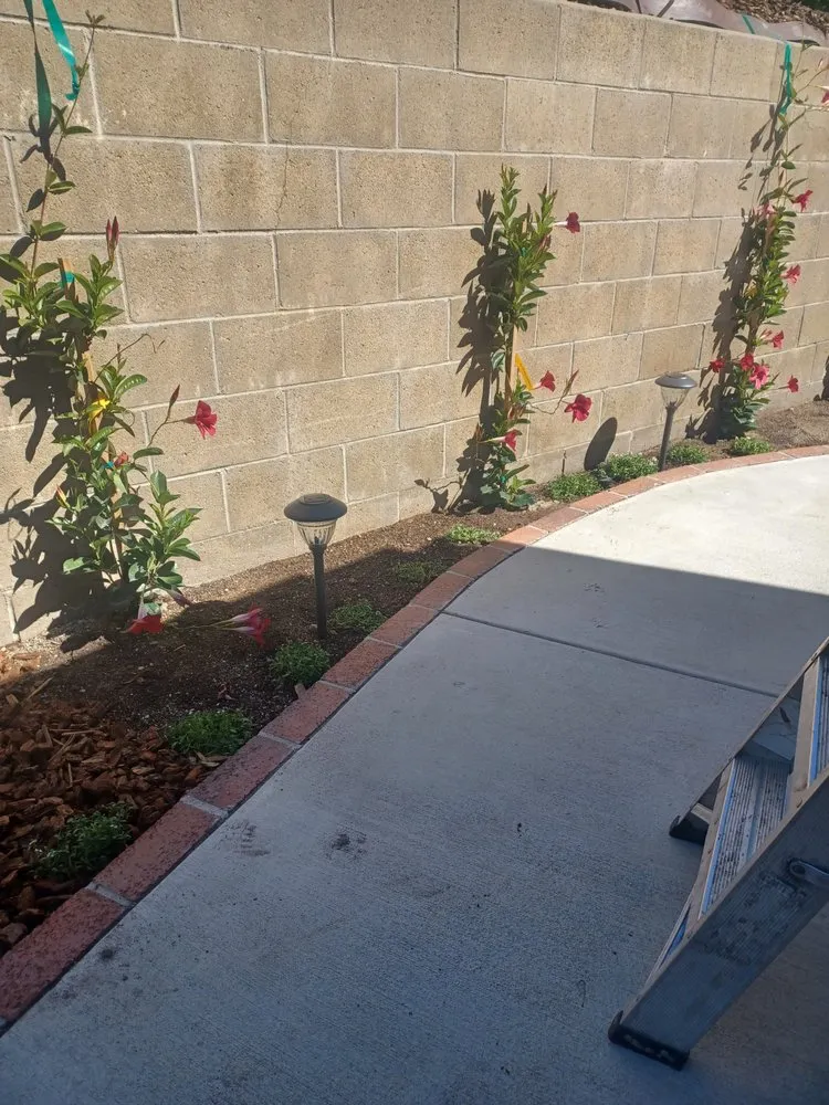 Affordable lawn mowing service in Moorpark, CA - Benjis trees &thing's