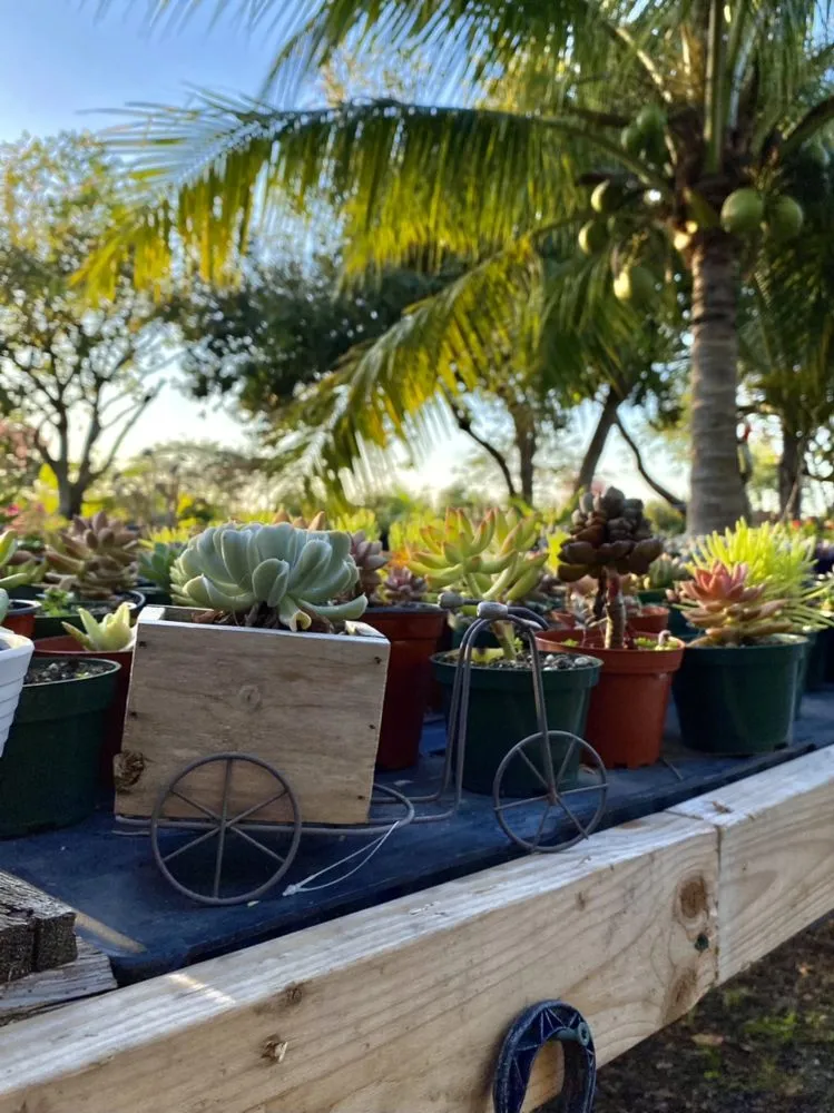 Trusted landscaping services in Miami, FL by Benmarqz Nursery and Landscaping