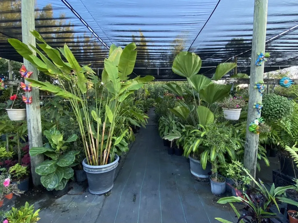 Reliable landscaping services for residential properties in Miami, FL by Benmarqz Nursery and Landscaping