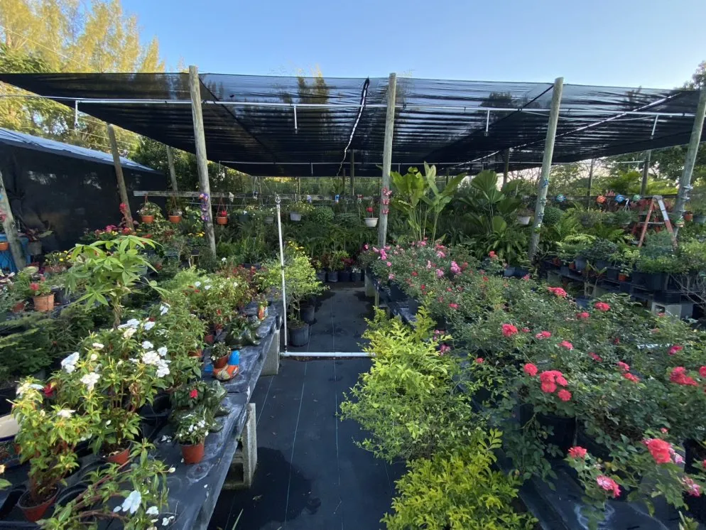 Reliable residential landscaping with custom design across Miami, FL - Benmarqz Nursery and Landscaping