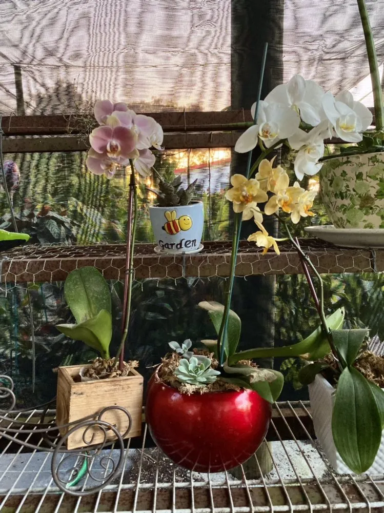 Professional landscape installation with custom design in Miami, FL by Benmarqz Nursery and Landscaping