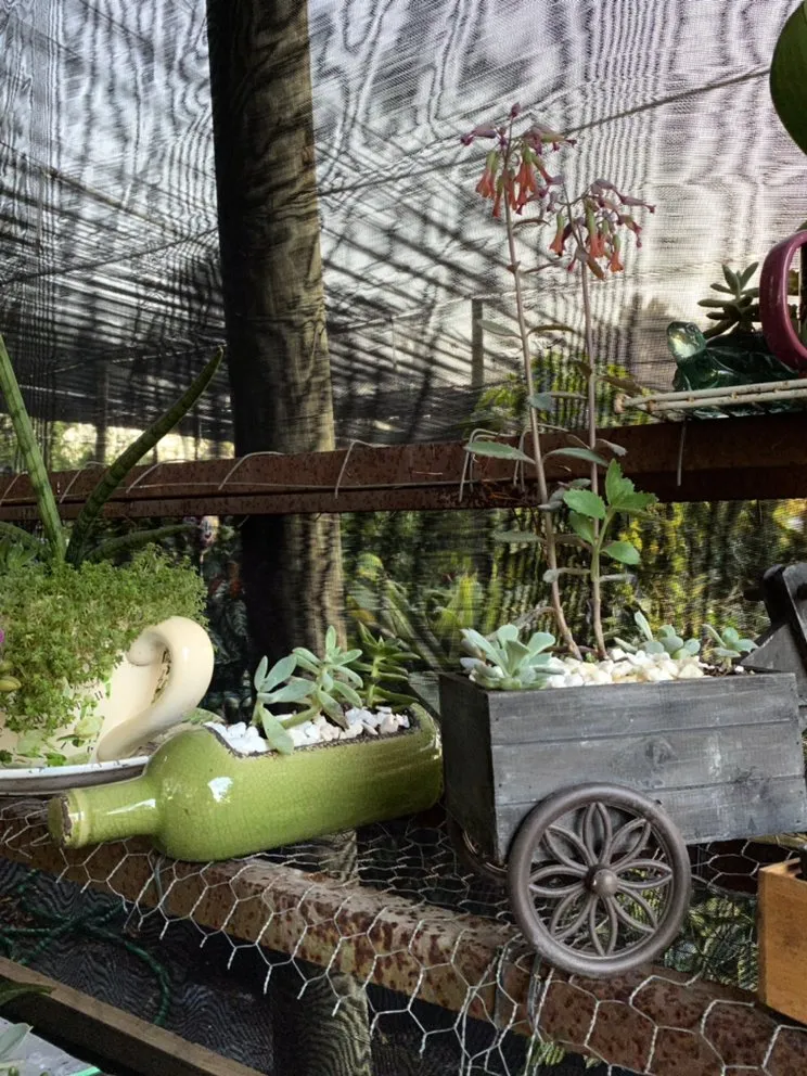 Professional landscaping services in Miami, FL by Benmarqz Nursery and Landscaping