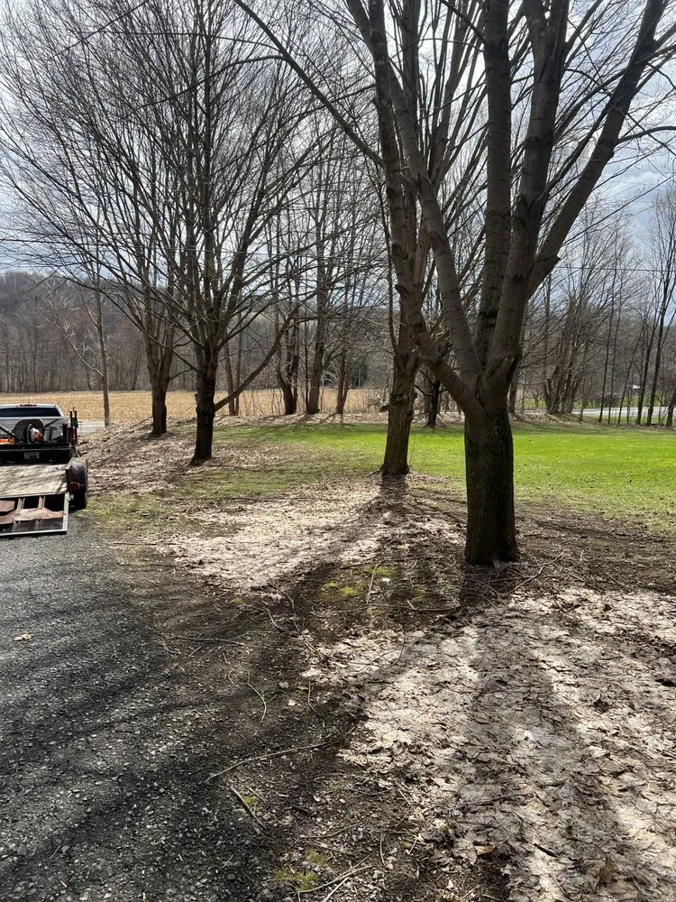 Top-rated landscaping services experts serving Memphis, NY - Bennett Enterprises