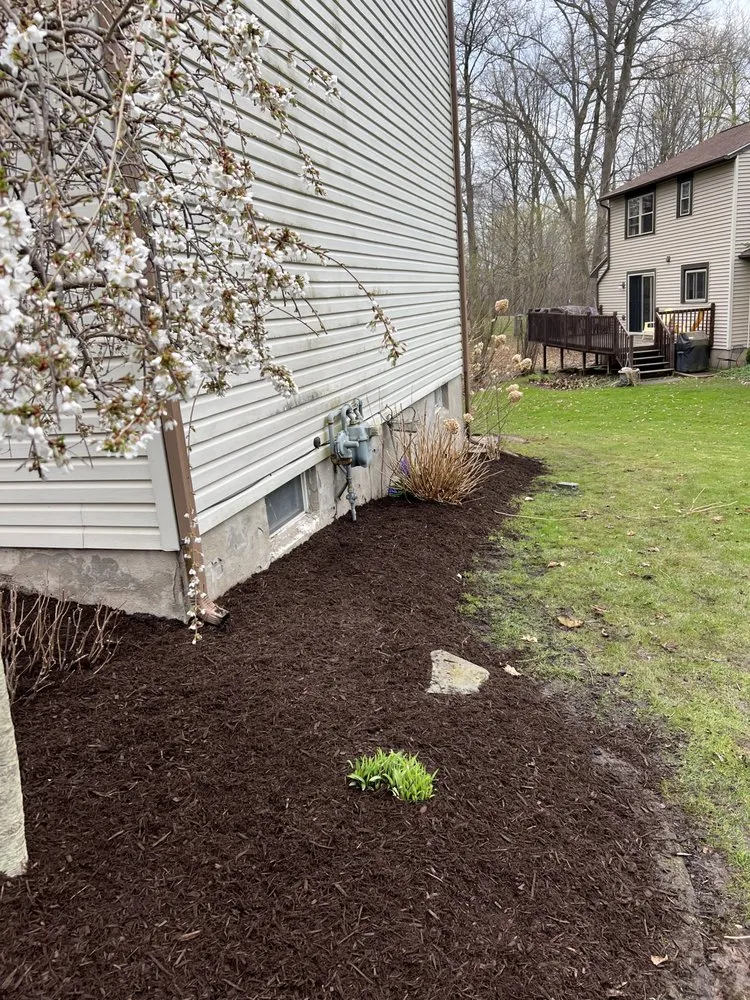 Professional yard cleanup service in Memphis, NY - Bennett Enterprises