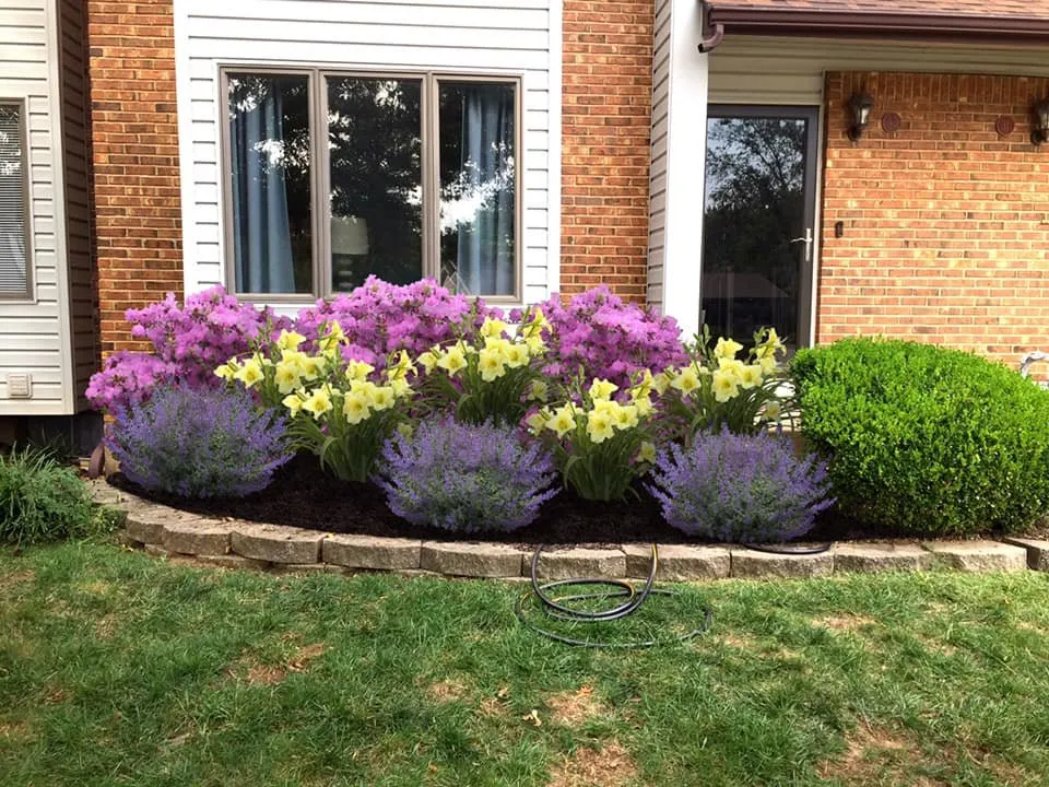 Trusted landscaping services for homes across St. Peters, MO - Bennett Gardens & Landscapes