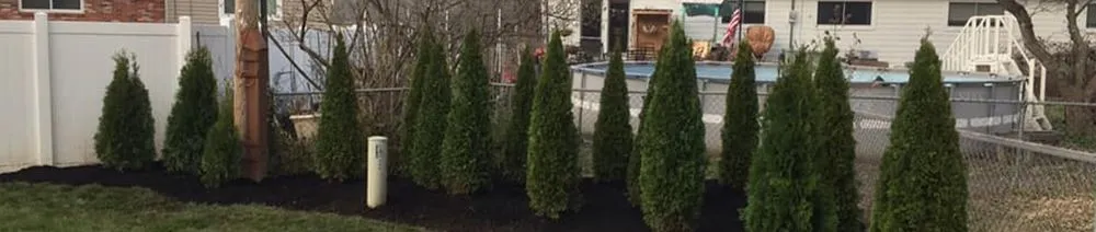 Reliable yard cleanup service for residential properties across St. Peters, MO - Bennett Gardens & Landscapes