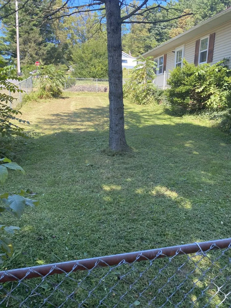 Reliable lawn care service in Wilmington, NC by Bennett Home Services