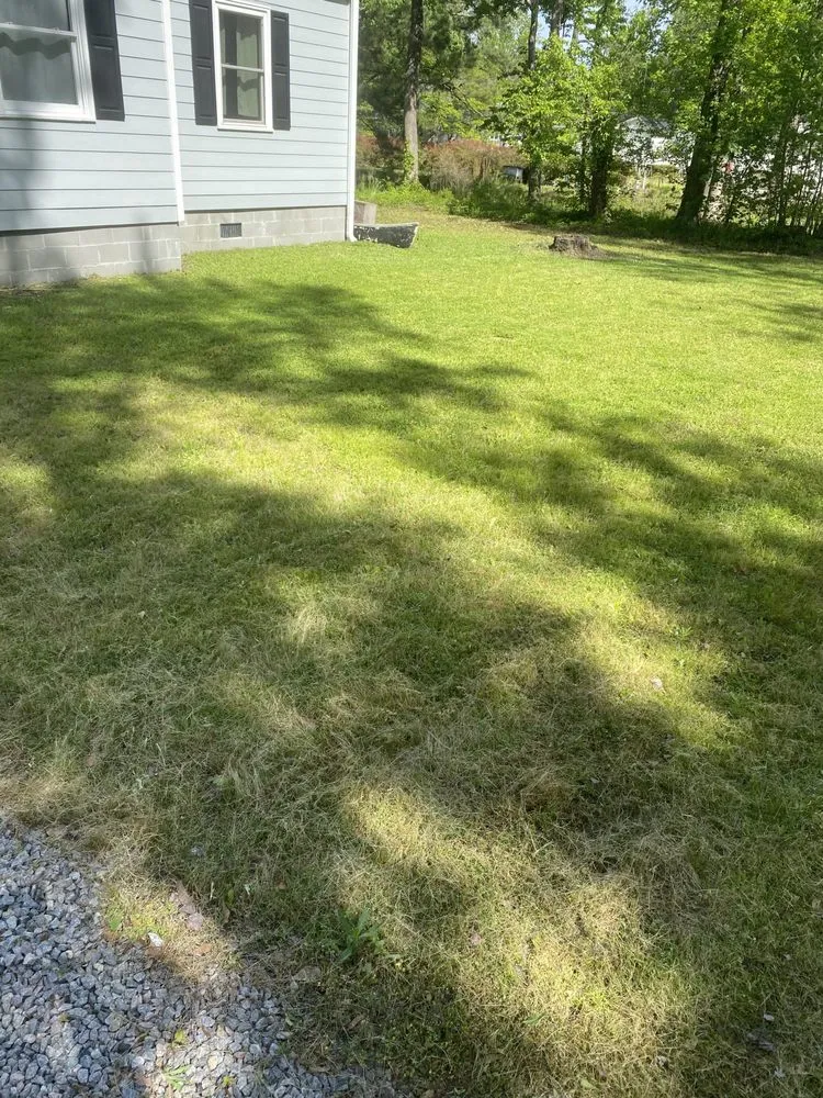 Reliable outdoor landscaping for beautiful yards across Wilmington, NC - Bennett Home Services