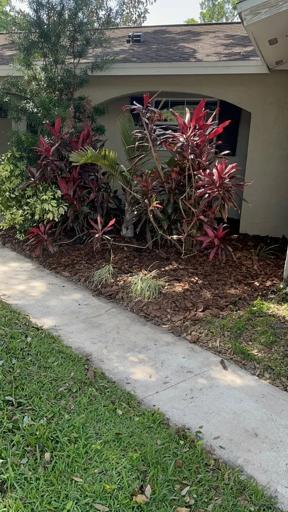 Local yard maintenance for year-round maintenance in Chuluota, FL by Bennett Irrigation