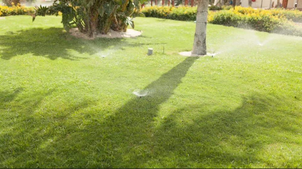 Custom landscape design in Chuluota, FL - Bennett Irrigation