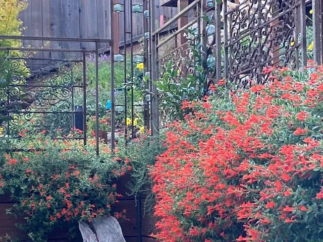 Reliable landscape installation for outdoor upgrades in Harbor City, CA by Bennett Landscape