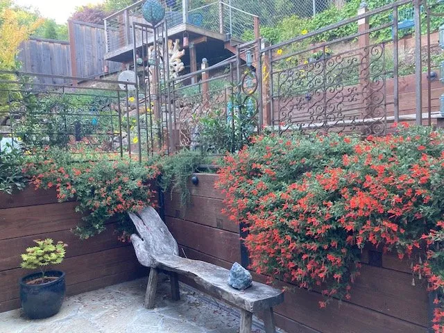 Reliable lawn mowing service in Harbor City, CA by Bennett Landscape