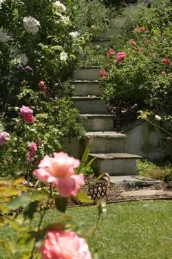 Professional outdoor landscaping in Harbor City, CA - Bennett Landscape