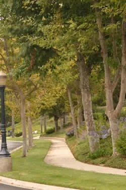Custom lawn care service for outdoor upgrades in Harbor City, CA by Bennett Landscape