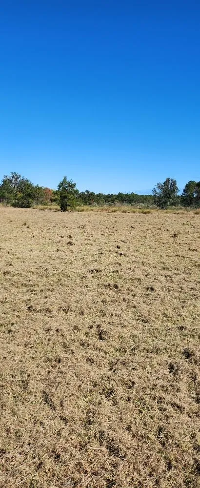 Affordable landscaping services with custom design in Midway, GA by Bennett Landscape Solutions