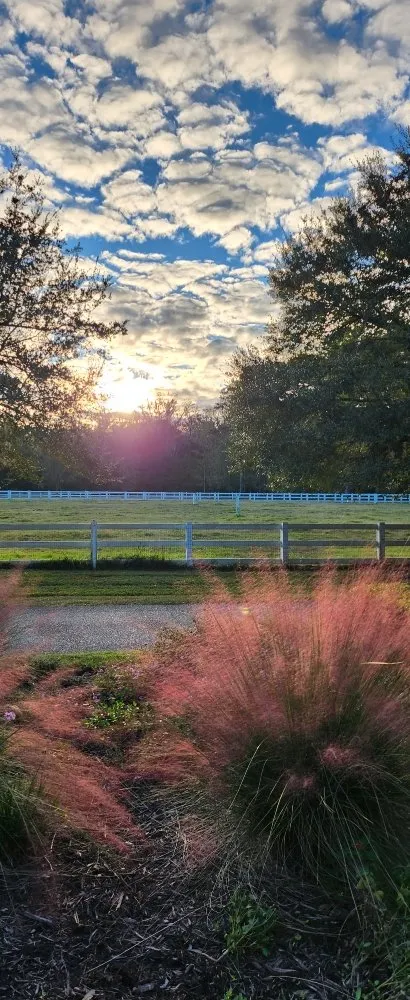 Professional landscape installation in Midway, GA by Bennett Landscape Solutions