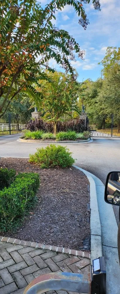 Professional yard maintenance in Midway, GA by Bennett Landscape Solutions