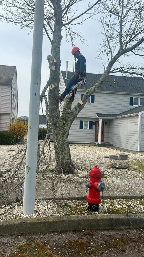 Expert lawn mowing service experts serving Binghamton, NY - Bennett Landwork & Landscapes