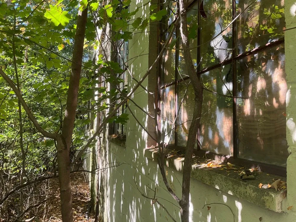 Reliable outdoor landscaping in Binghamton, NY by Bennett Landwork & Landscapes