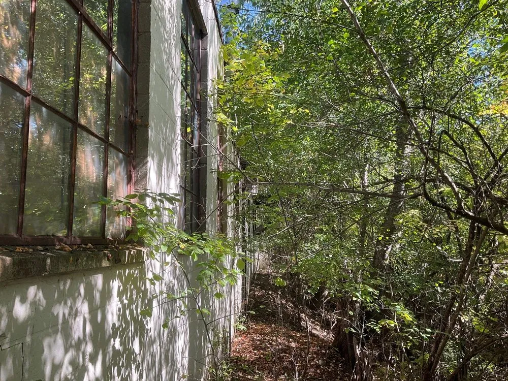 Affordable landscaping services for outdoor upgrades in Binghamton, NY by Bennett Landwork & Landscapes