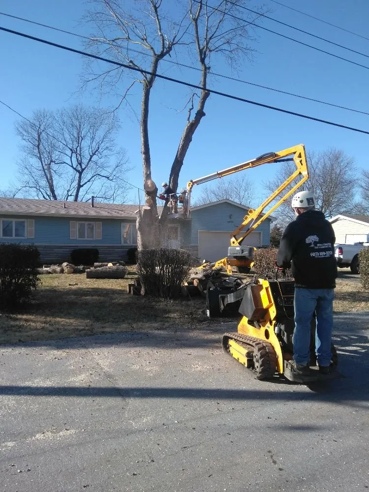 Top-rated lawn care service experts serving Springfield, MO - Bennett Tree Care & Landscape