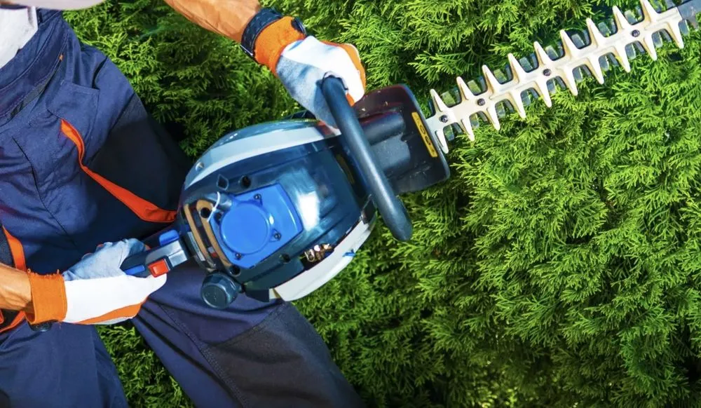 Local residential landscaping in Callahan, FL by Bennett's