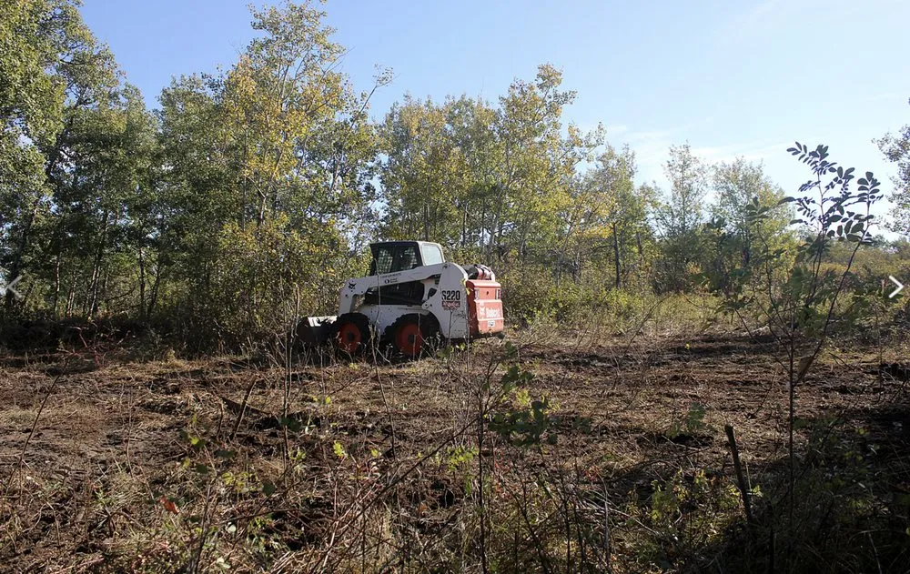 Professional yard maintenance experts serving Callahan, FL - Bennett's