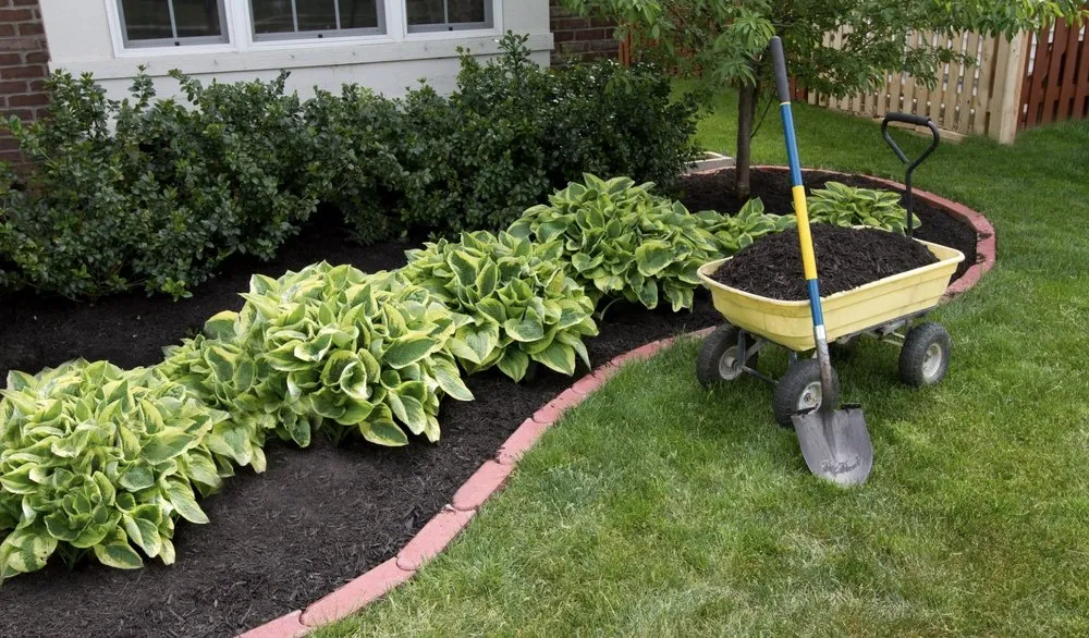 Professional landscape design in Callahan, FL - Bennett's