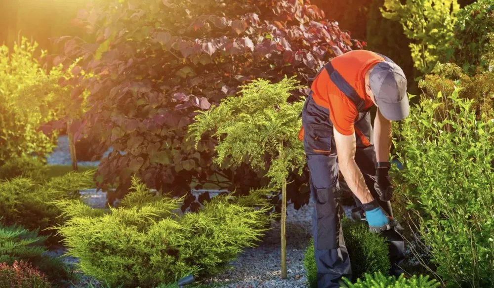 Top-rated lawn mowing service experts serving Callahan, FL - Bennett's