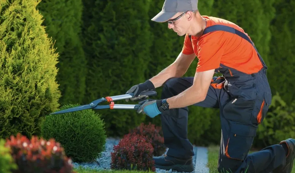 Affordable landscaping services for residential properties across Callahan, FL - Bennett's