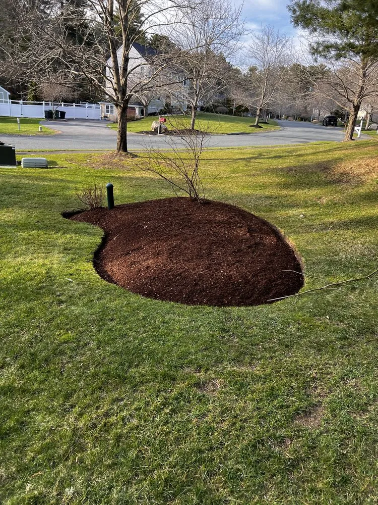 Top-rated lawn care service experts serving Kingston, MA - Bennett’s Landscape