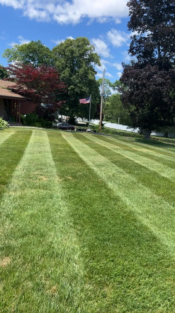 Local yard cleanup service for outdoor upgrades across Kingston, MA - Bennett’s Landscape