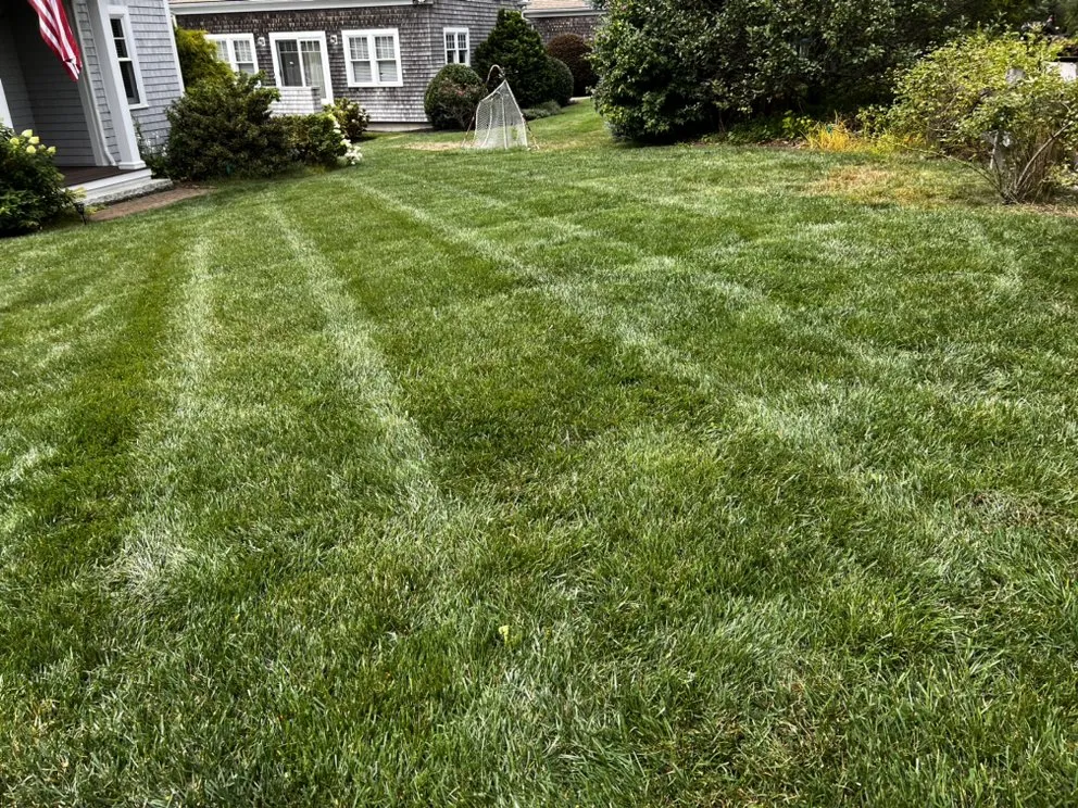 Expert yard cleanup service in Kingston, MA by Bennett’s Landscape