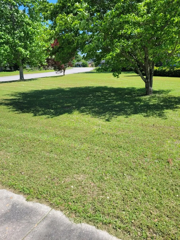 Affordable outdoor landscaping with custom design in Barnwell, SC by Bennett's Lawn Care Service