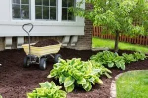 Professional outdoor landscaping for homes in Sophia, NC by Bennett's Lawn Care
