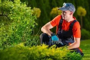Bennett's Lawn Care Logo