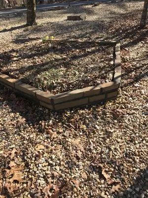 Bennett’s Yard & More