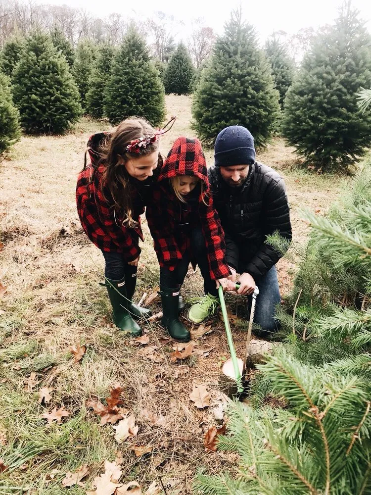 Local lawn care service in Tunkhannock, PA - Bennies Nursery
