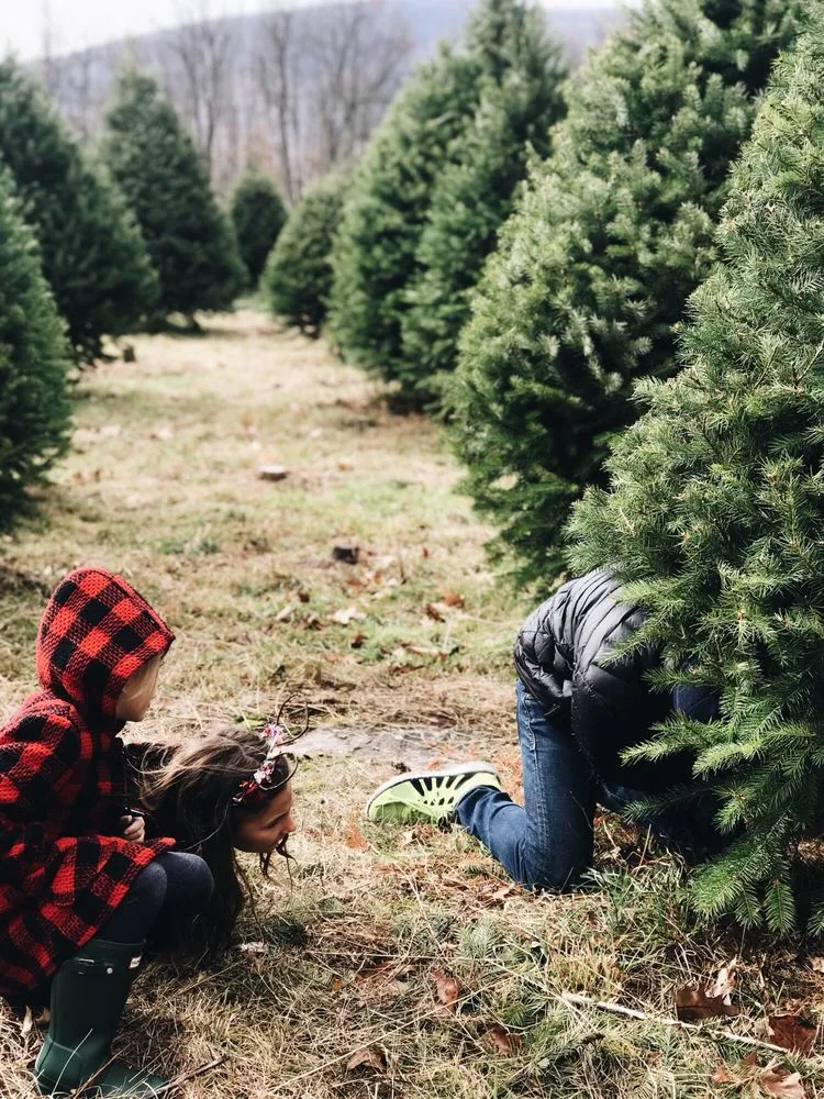 Professional landscaping services in Tunkhannock, PA by Bennies Nursery