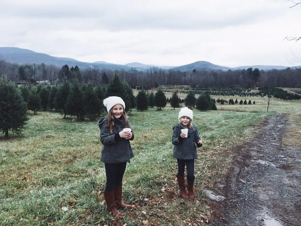 Expert yard cleanup service for outdoor upgrades in Tunkhannock, PA by Bennies Nursery